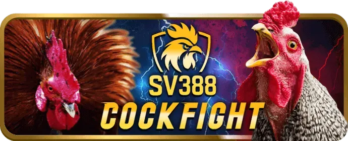 Luật chơi và công bằng 95win casino